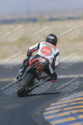 media/May-13-2023-SoCal Trackdays (Sat) [[8a473a8fd1]]/Turn 11 Backside (945am)/